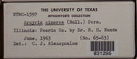 Image Associated With the Occurence